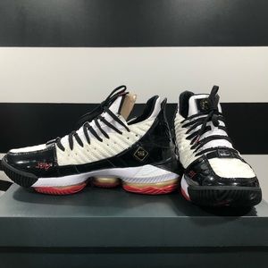 RARE NWT Nike Lebron XBI SB Shoes